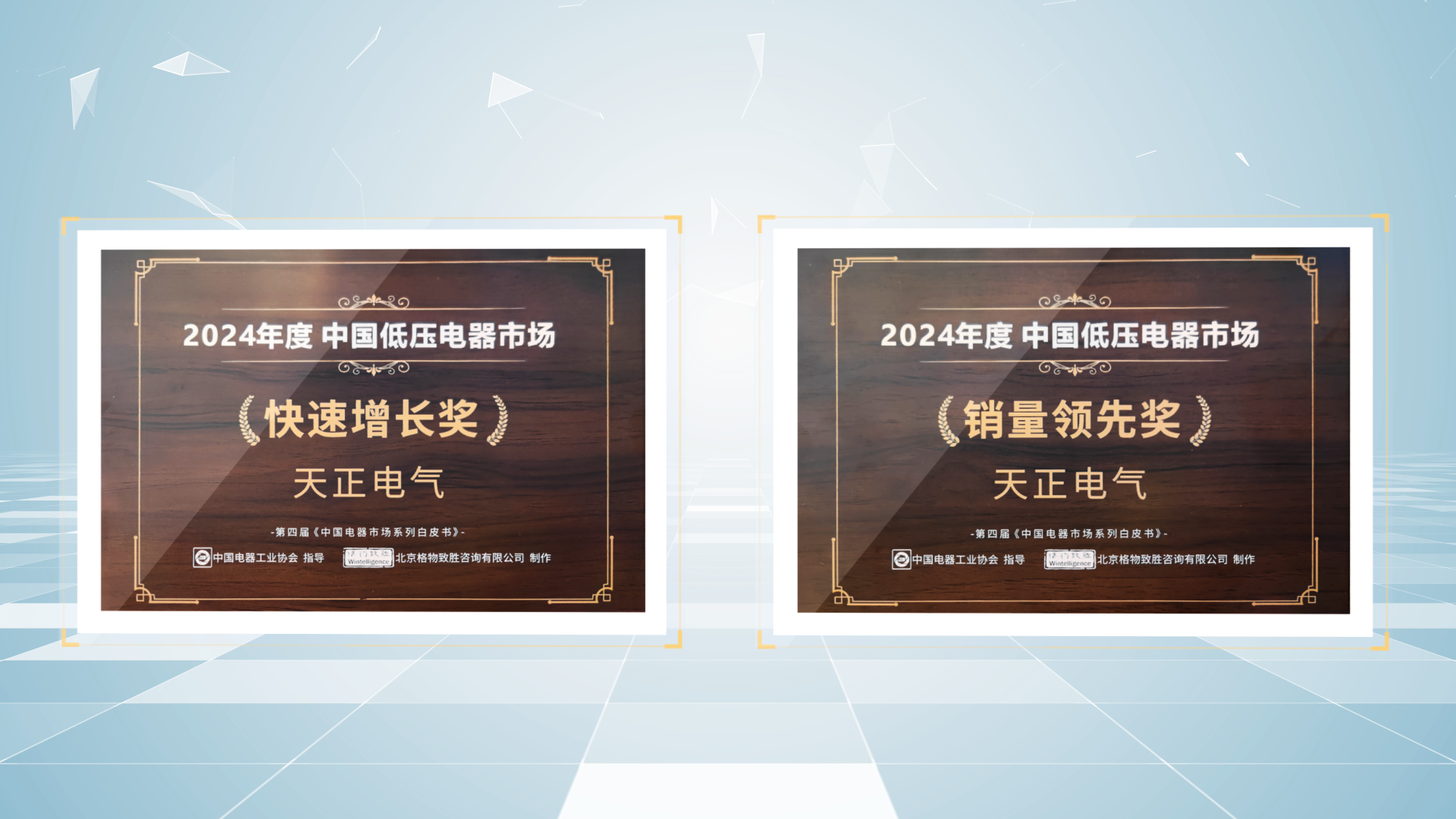 销量领先、快速增长丨南宫ng28注册入口荣膺2项行业年度大奖